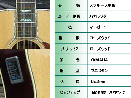 Morris モーリス B-60 ナチュラル 12弦 アコギ アコースティック